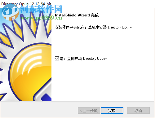 Directory Opus Pro(文件管理器) 12.17.0.0 免費(fèi)中文版