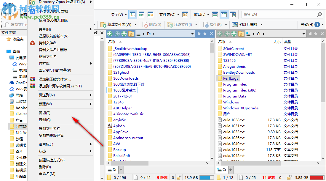 Directory Opus Pro(文件管理器) 12.17.0.0 免費(fèi)中文版