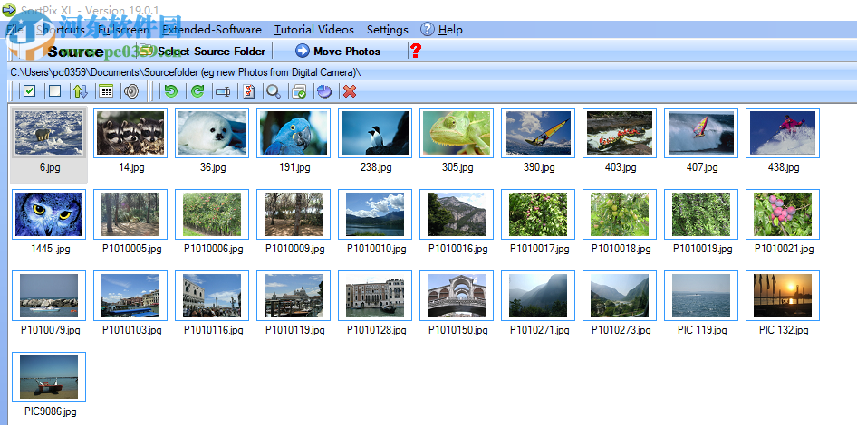SortPix XL(圖像管理軟件) 19.0.3 免費版