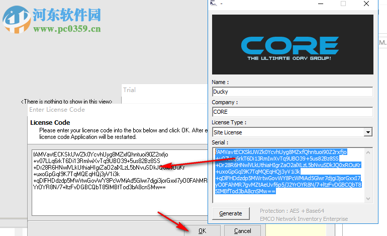 EMCO Network Inventory Enterprise(網(wǎng)絡(luò)審計(jì)軟件) 5.8.20.9981 破解版