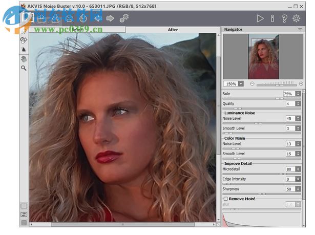 AKVIS Noise Buster(相片降噪軟件) 10.3 免費版
