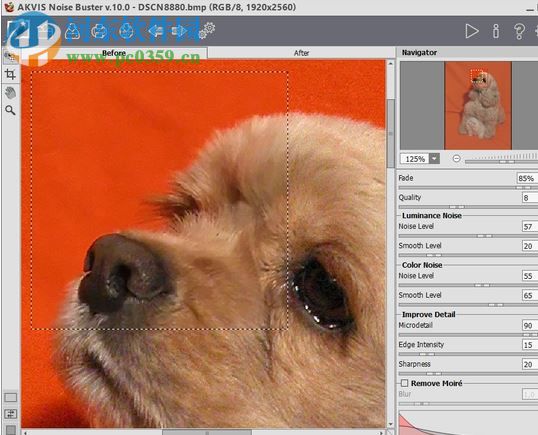 AKVIS Noise Buster(相片降噪軟件) 10.3 免費版