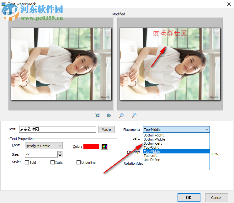 圖片編輯轉(zhuǎn)換器(Boxoft Batch Photo Processor) 1.4 官方版