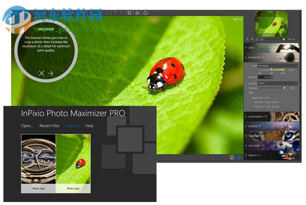 圖片無損放大工具(InPixio Photo Maximizer Pro) 5.0.7075 專業(yè)版