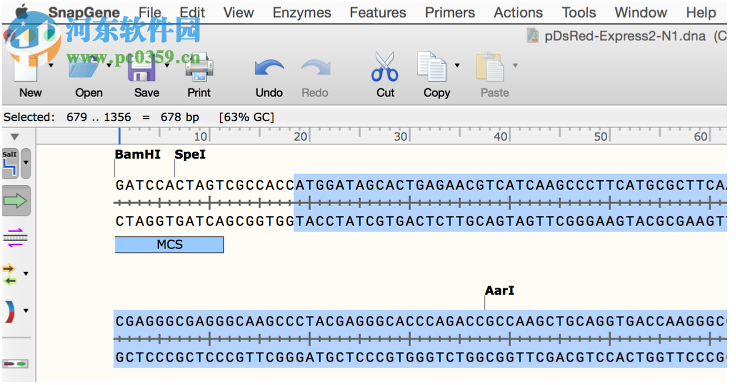 GSL Biotech SnapGene(分子生物學(xué)軟件)