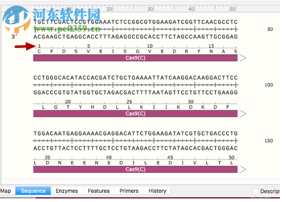 GSL Biotech SnapGene(分子生物學(xué)軟件)