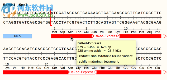 GSL Biotech SnapGene(分子生物學(xué)軟件)