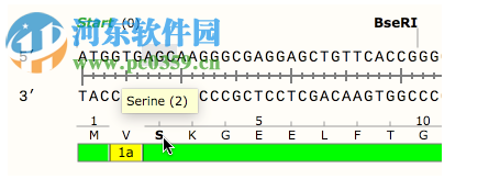 GSL Biotech SnapGene(分子生物學(xué)軟件)