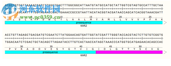 GSL Biotech SnapGene(分子生物學(xué)軟件)