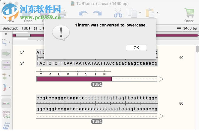 GSL Biotech SnapGene(分子生物學(xué)軟件)