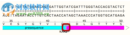 GSL Biotech SnapGene(分子生物學(xué)軟件)