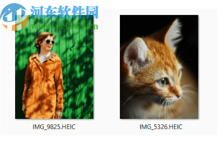 CopyTrans HEIC(HEIC圖像查看工具)