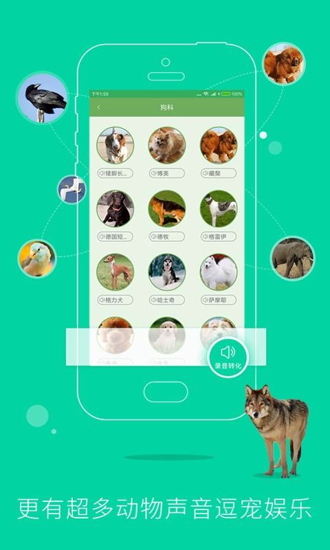 動(dòng)物聲音模擬器(2)
