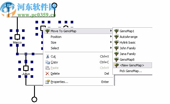 GenoPro(家譜族譜制作軟件)