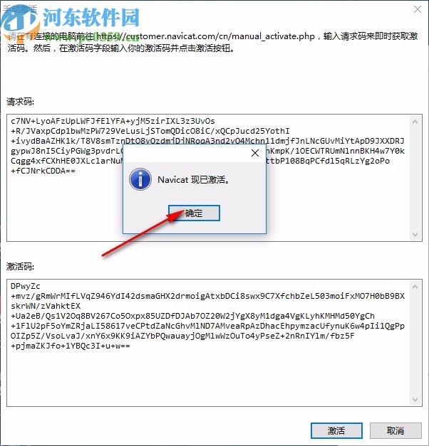 Navicat 15 for MongoDB中文破解版