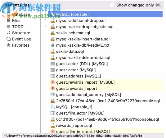 JetBrains DataGrip 2020.1中文補(bǔ)丁