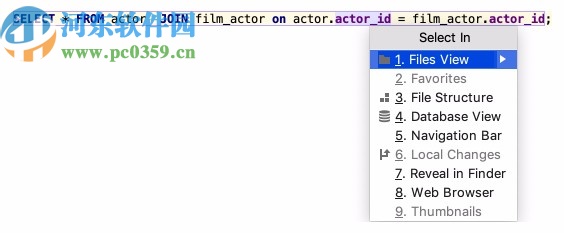 JetBrains DataGrip 2020.1中文補(bǔ)丁