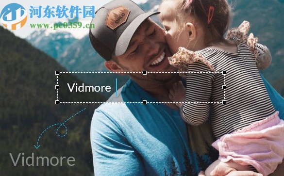 Vidmore(免費(fèi)視頻格式轉(zhuǎn)換軟件)