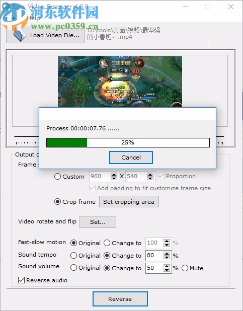 Easy Video Reverser下載